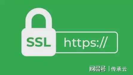搜索引擎偏爱什么样的网站？定制建站的5大SEO基因解码(图3)